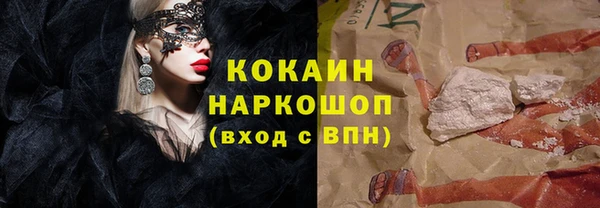 дживик Бронницы