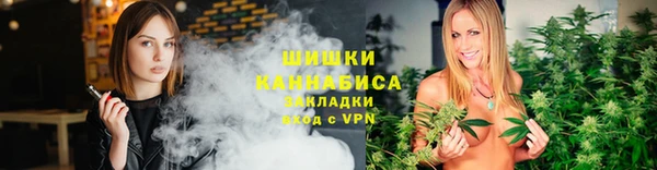 дживик Бронницы