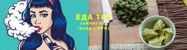 дживик Бронницы