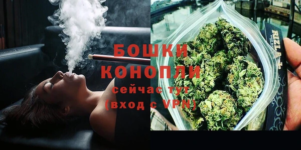 дживик Бронницы