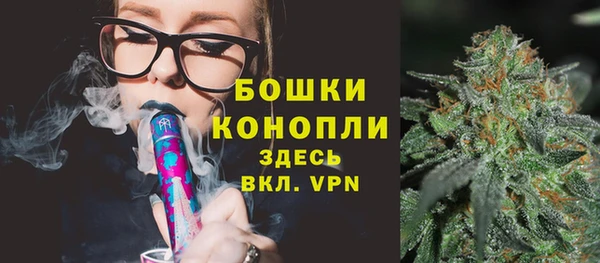 дживик Бронницы