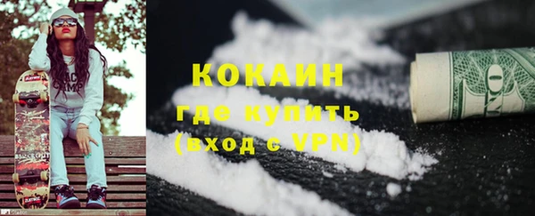 дживик Бронницы