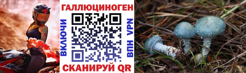 Купить где  Дедовск  Галлюциногенные грибы мицелий 